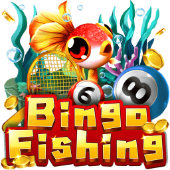 Bingo Fishing inplay